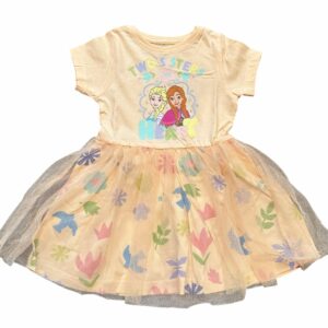 Vestito di Frozen con tulle