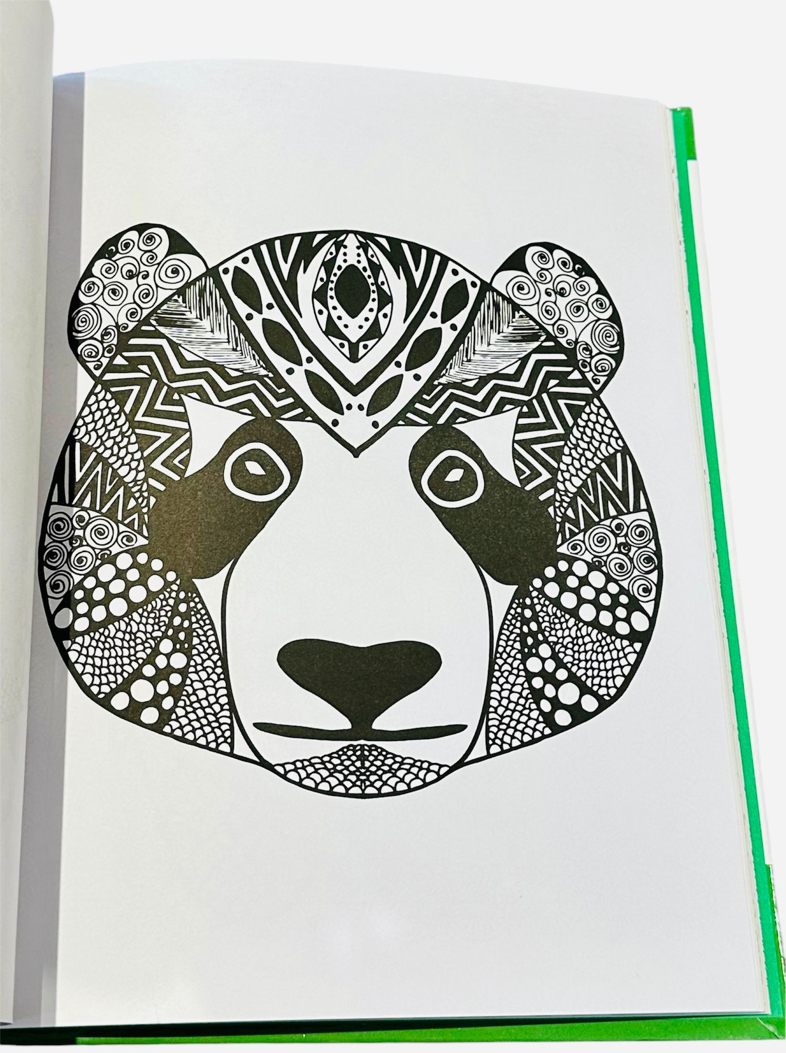 Libri antistress da colorare - Colora teneri e simpatici panda - immagine 2